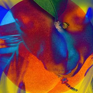 Slow (Explicit)