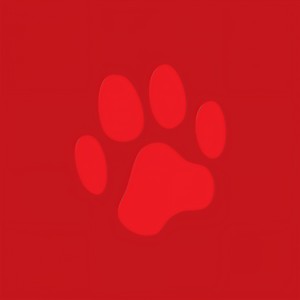 Dog Days (DJ Sneak's 420 Dog Remix)