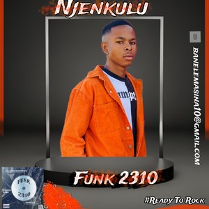 Funk 2310