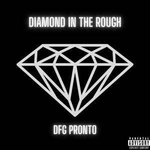 Diamond In The Rough (Explicit)