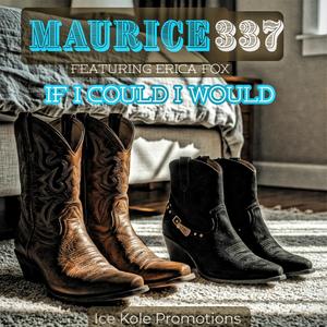 If I could I would (feat. Erica Fox) (Radio Edit)