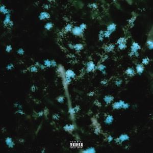 Vergissmeinnicht (feat. Miller) (Explicit)