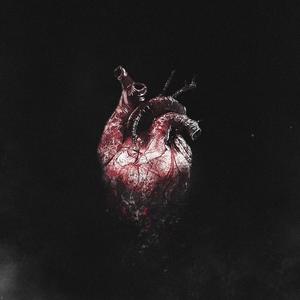 Sade Kaldı Küllerin