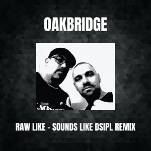 Raw Like (Sounds Like Dsipl Remix)