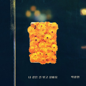 나 같은 건 잊고 살아요 (请把像我这样的人忘记后生活吧) (Inst.)