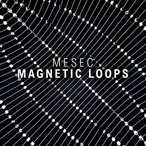 Magnetic Loops