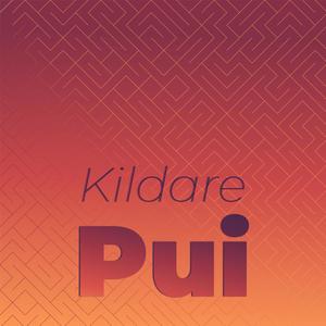 Kildare Pui