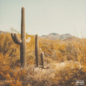 saguaro (Explicit)