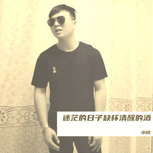迷茫的日子缺杯清醒的酒