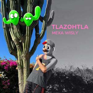 Mexa Wisly