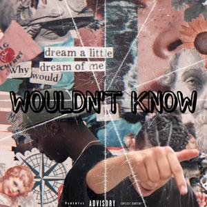 Wouldn't Know (feat. The Kidd Luckk) [Explicit]