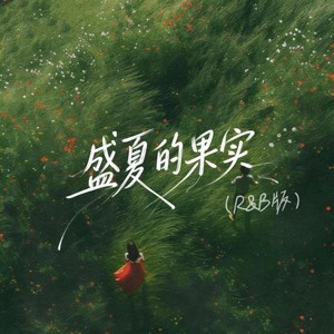 盛夏的果实 (R&B版)封面