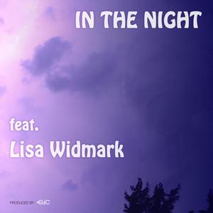 In the Night (feat. Lisa Widmark)