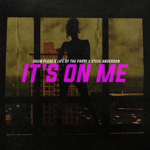 It's On Me (feat. Steve Anderson & Life Of The Party) (Explicit)
