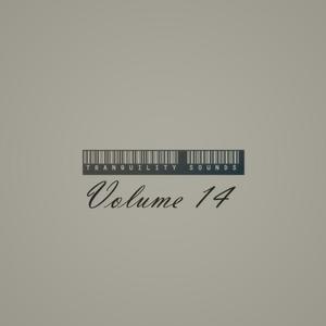 Tranquility Sounds Volume 14