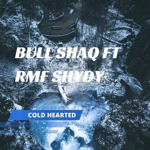 Cold Hearted(feat. Rmf Shydy) (Explicit)