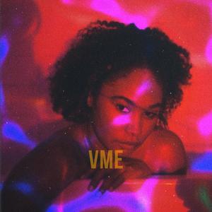 Vibe Means Everything (VME) (feat. Seshun)