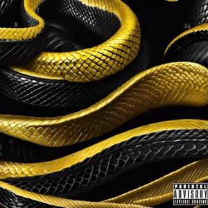 MAMBA Freestyle (feat. Roi Audyo, CË-dephrent, Christian Blandin, Fitt3d, Gr8deASTEEZE & Kory Braditz) (Explicit)