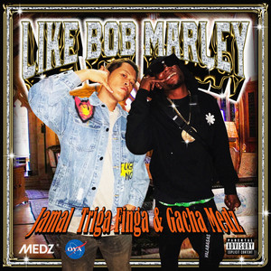 Like Bob Marley (Explicit)