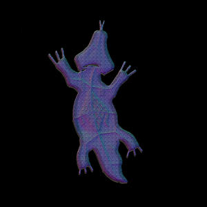Lizard (feat. Binod Katuwal)