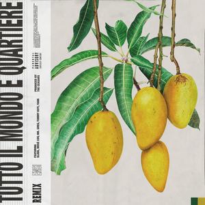 Tutto il mondo è quartiere (Explicit)