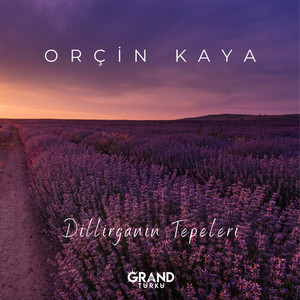 Dillirganın Tepeleri