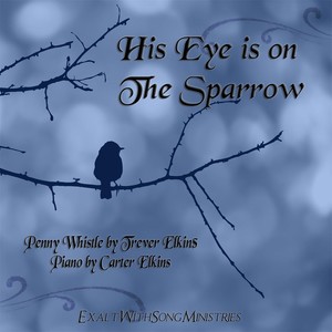 His Eye Is On the Sparrow(feat. Carter Elkins)
