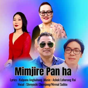 Mimjire Pan Ha (Acoustic Version)