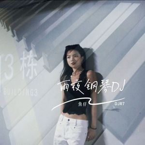 雨夜钢琴 (鱼仔djr7版)