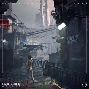 Dark Sector
