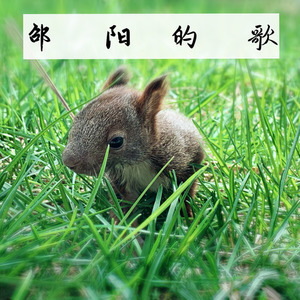 邵阳的歌