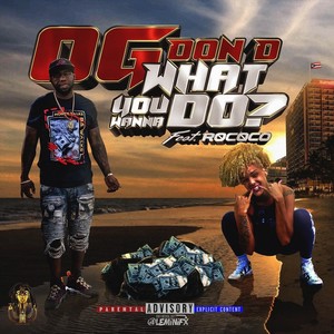 What You Wanna Do? (feat. R0c0co) [Explicit]