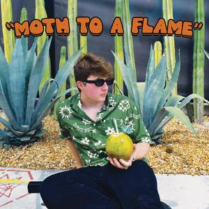 Moth To A Flame