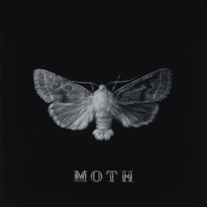 MOTH