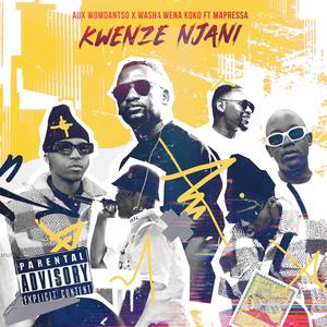 Kwenze Njani (feat. Mapressa)