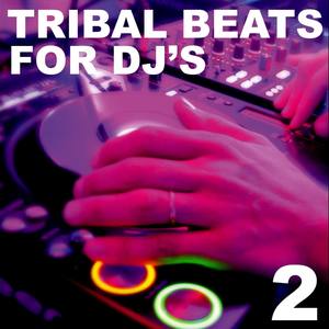 Tribal Beats for DJ's - Vol. 2