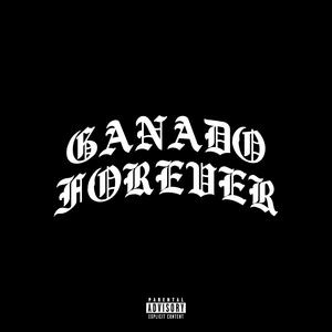 BRIDGES (feat. QILLA) (Explicit)