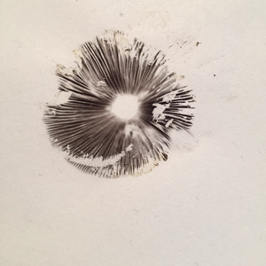 Spores, Pt. 1: The Journey