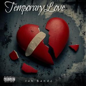 Temporary Love (Explicit)