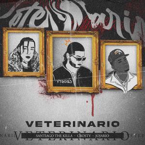 VETERINARIO (feat. Jojairo hp & Santiago the Killa) [Explicit]