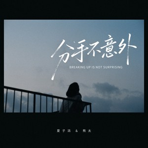 分手不意外