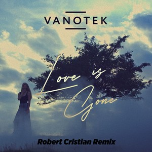 Love Is Gone (Robert Cristian Remix)
