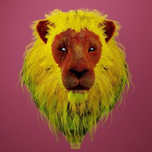 KING OF THE JUNGLE (feat. IVY)