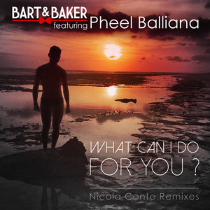 What Can I Do for You ? (Nicola Conte Radio Remix)