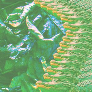 GATORS UNDER THE BED (feat. dom ultra) (Explicit)