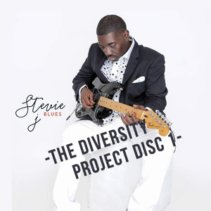 The Diversity Project Disc 1