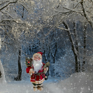 Santa Claus in the Snow