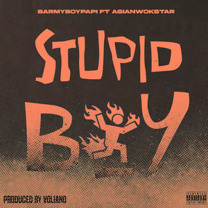 Stupid Boy (Explicit)
