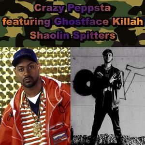 Shaolin Spitters (feat. Ghostface Killah) [Explicit]