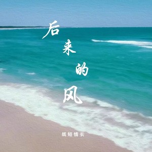 后来的风 (DJ德朋版)